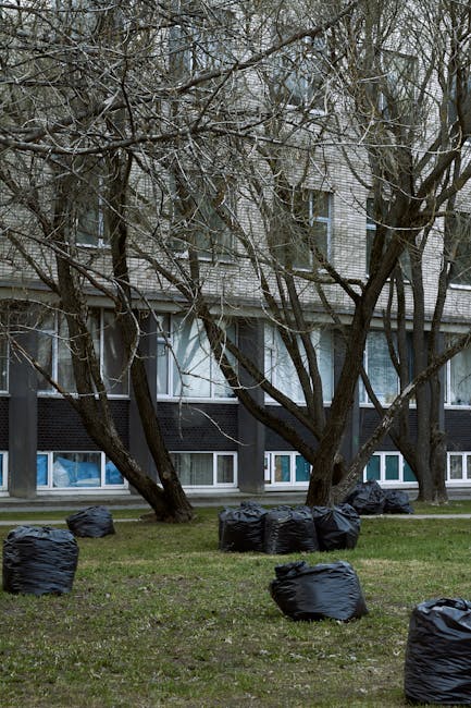 SE8 rubbish removal services comparison Deptford