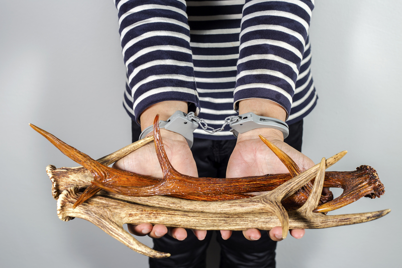 The Do's and Don'ts of Throwing Away Masks and Gloves